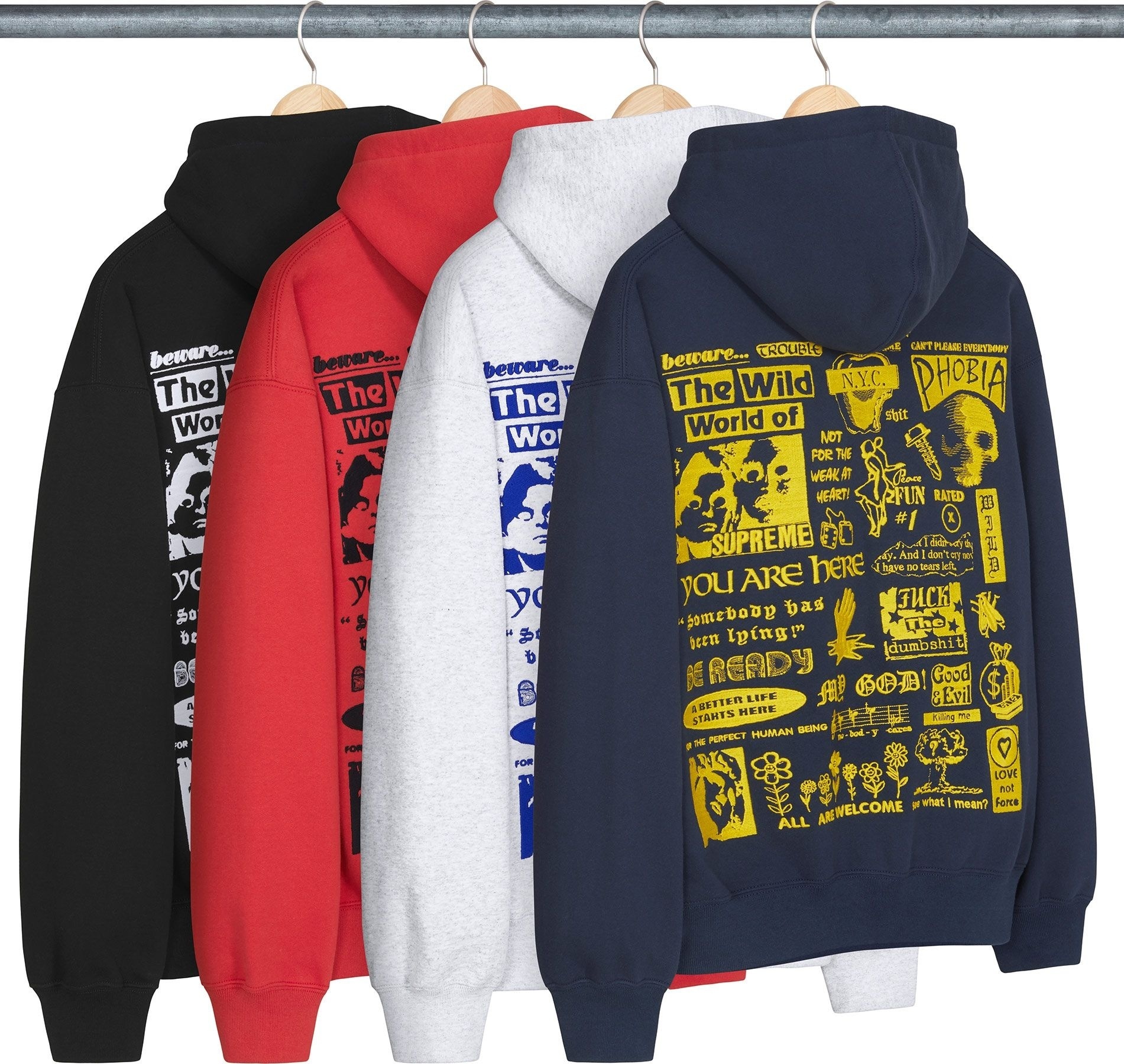 Wild Embroidered Hooded Sweatshirt
